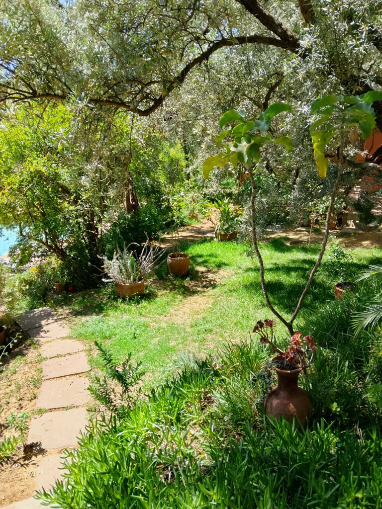 Where to Stay in Marrakech: Best Areas, Riads & Atlas Mountain Retreat
